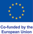 MEDIAWISE Logo Europa